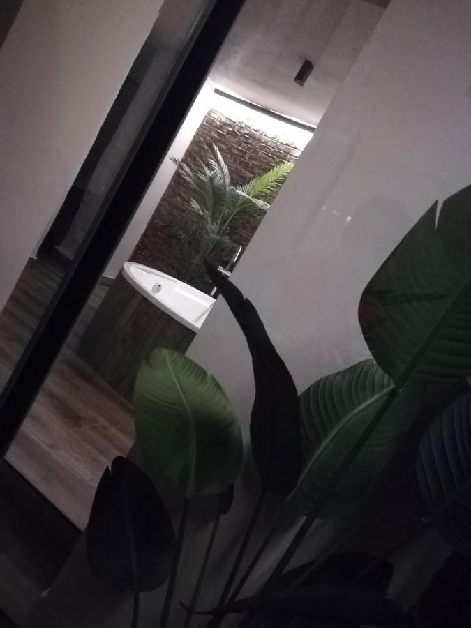 Alvarado Loft Rural Ubrique